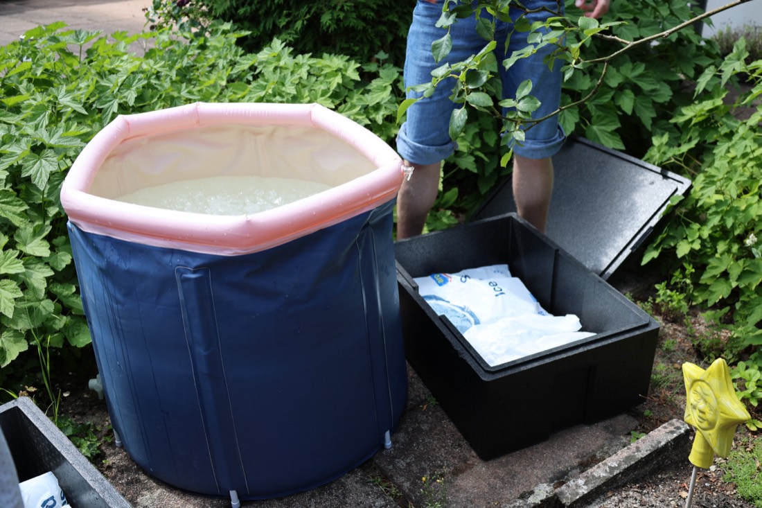 Workshop im Garten